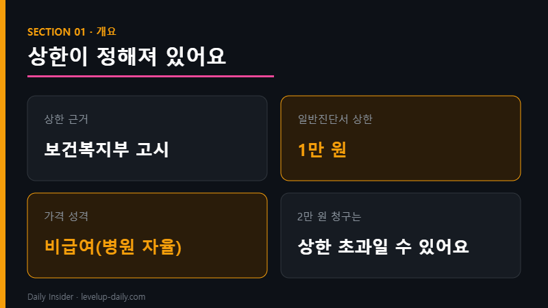진단서 발급 비용 상한 — 복지부 고시