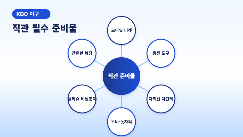 야구 직관 필수 준비물 6가지 이미지