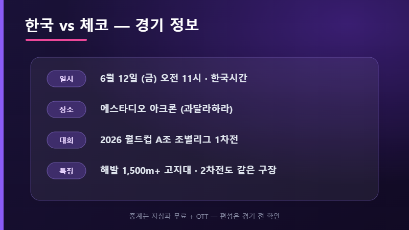 월드컵 체코전 경기 정보