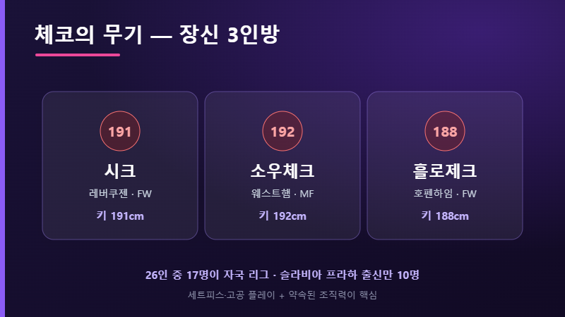 체코 장신 키플레이어