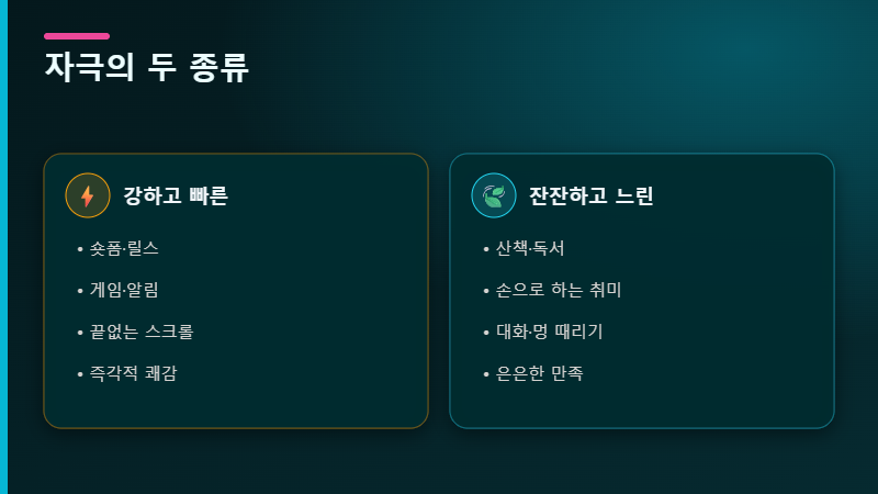 도파민 디톡스 자극의 종류