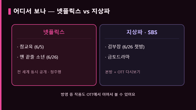 6월 드라마 라인업 넷플릭스 지상파