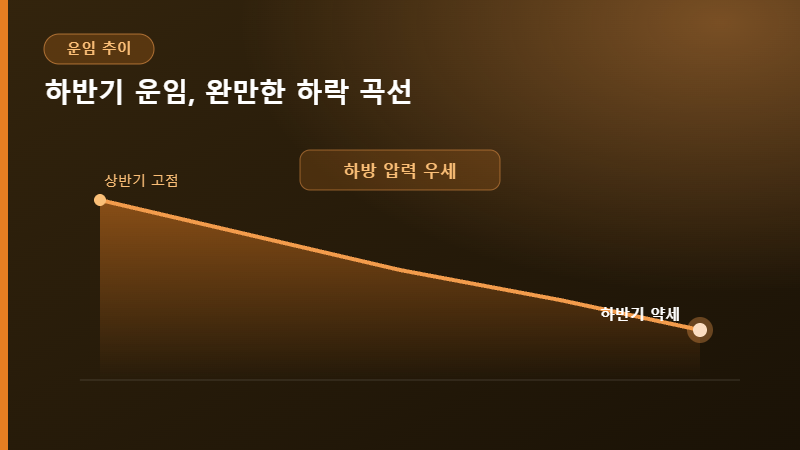 해상운임 전망 하락 추이