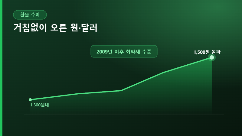 원달러 환율 상승 추이