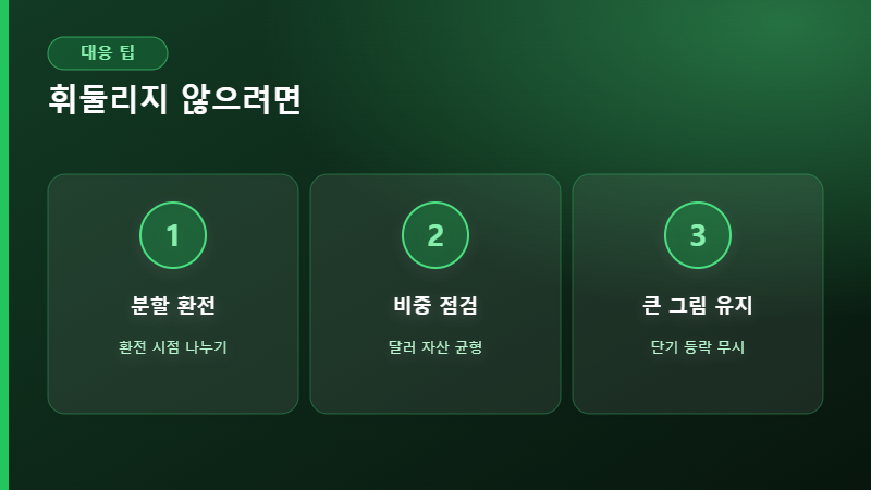 환율 대응 팁