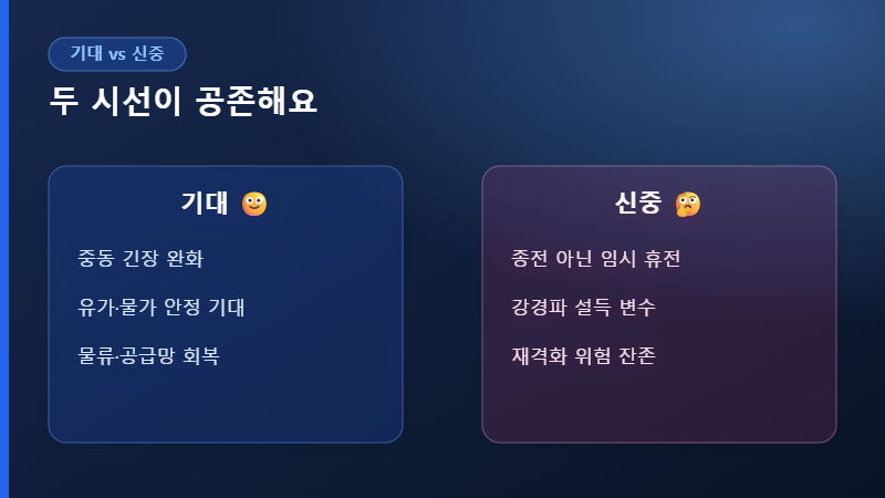 휴전 기대와 신중론