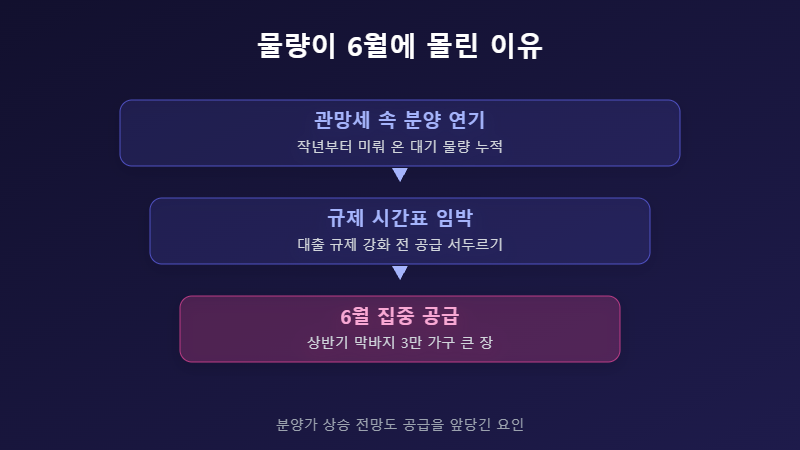 6월 분양 집중 공급 배경 플로우