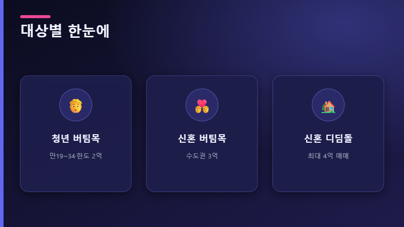 정책대출 대상별 정리