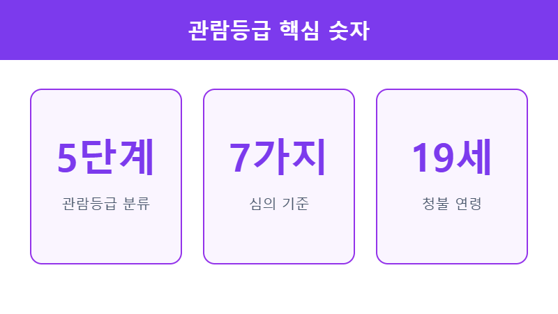 관람등급 핵심 숫자