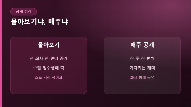 OTT 공개 방식 비교