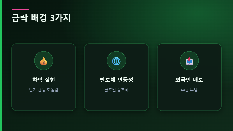 삼성전자 급락 배경