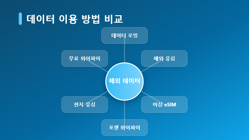 해외 데이터 이용 방법 비교