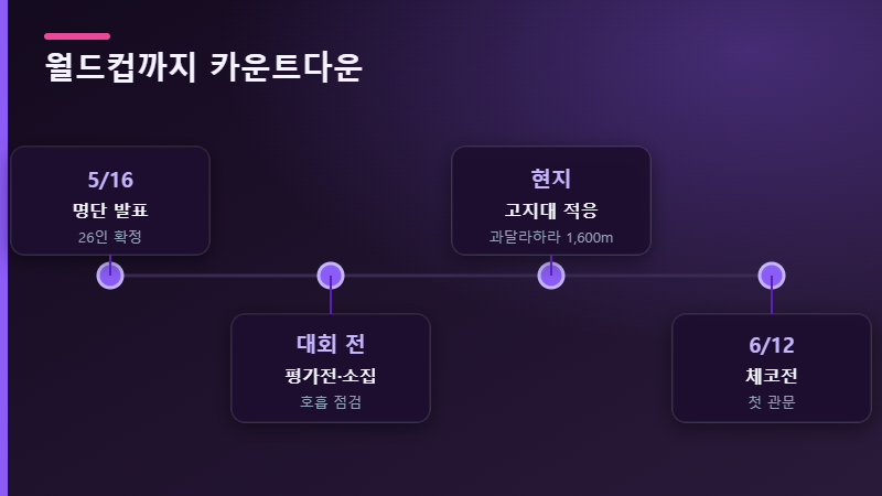 월드컵까지 일정