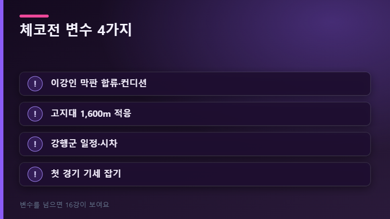 체코전 변수