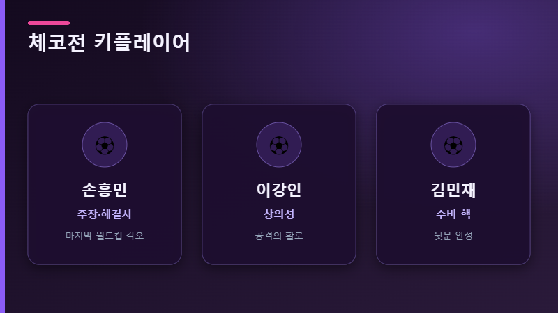 체코전 키플레이어