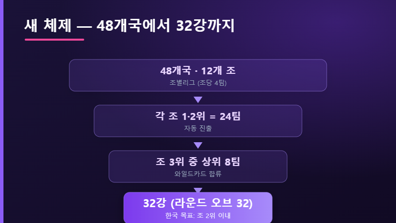 48개국 32강 진출 구조