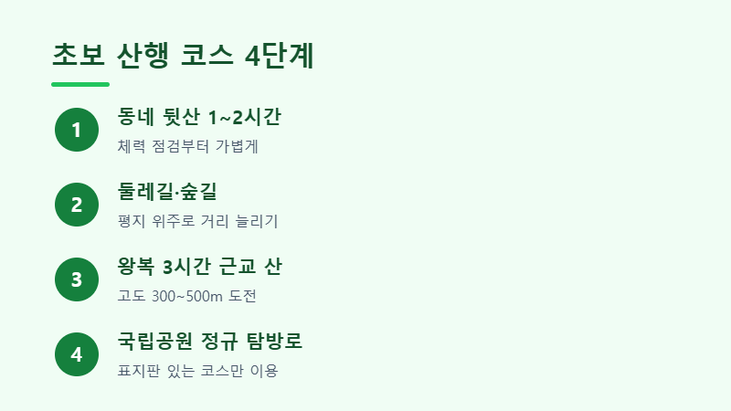 등산 초보 코스 단계