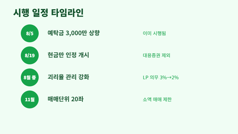 레버리지 규제 시행 일정 타임라인 — 8월 5일, 8월 19일, 11월